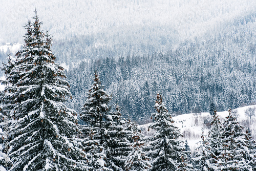 Landscape of a snow covered mountain