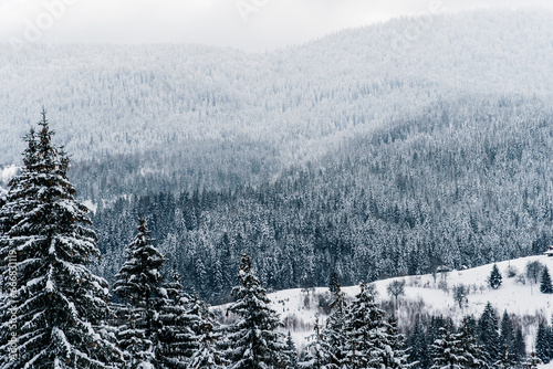 Landscape of a snow covered mountain