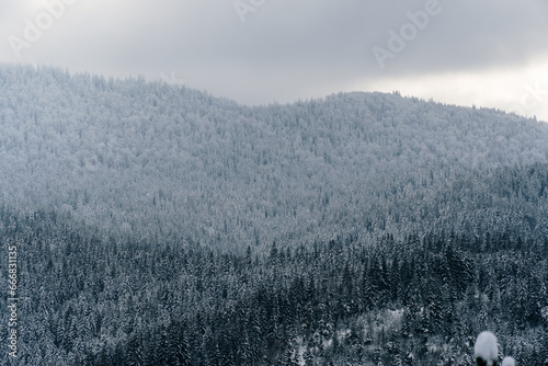 Landscape of a snow covered mountain