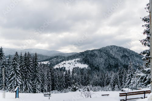 Landscape of a snow covered mountain