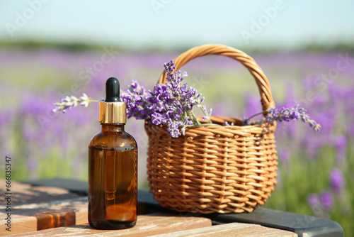 Bottle of essential oil and wicker bag with lavender flowers on wooden table in field outdoors