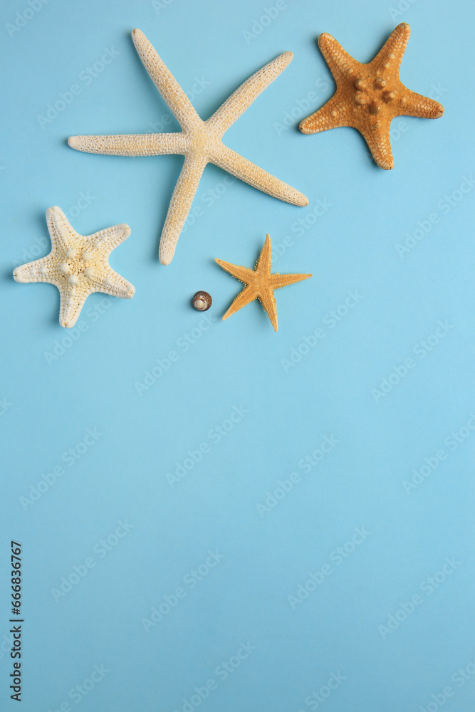 Beautiful starfishes and sea shell on light blue background, flat lay. Space for text Beautiful starfishes and sea shell on light blue background, flat lay. Space for text