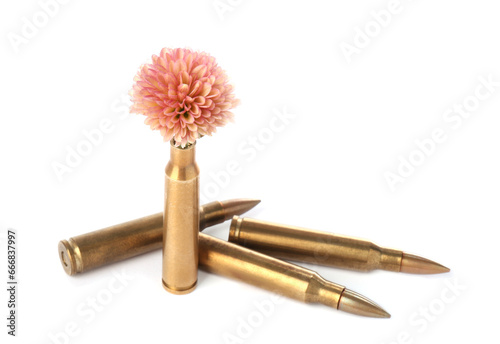 Bullets and cartridge case with beautiful flower isolated on white
