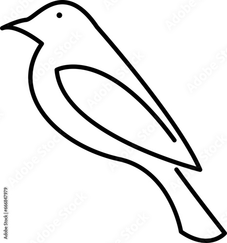 Bird Outline Illustration Isolated Vector photo