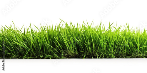 Green lawn isolated on white background. Generative AI