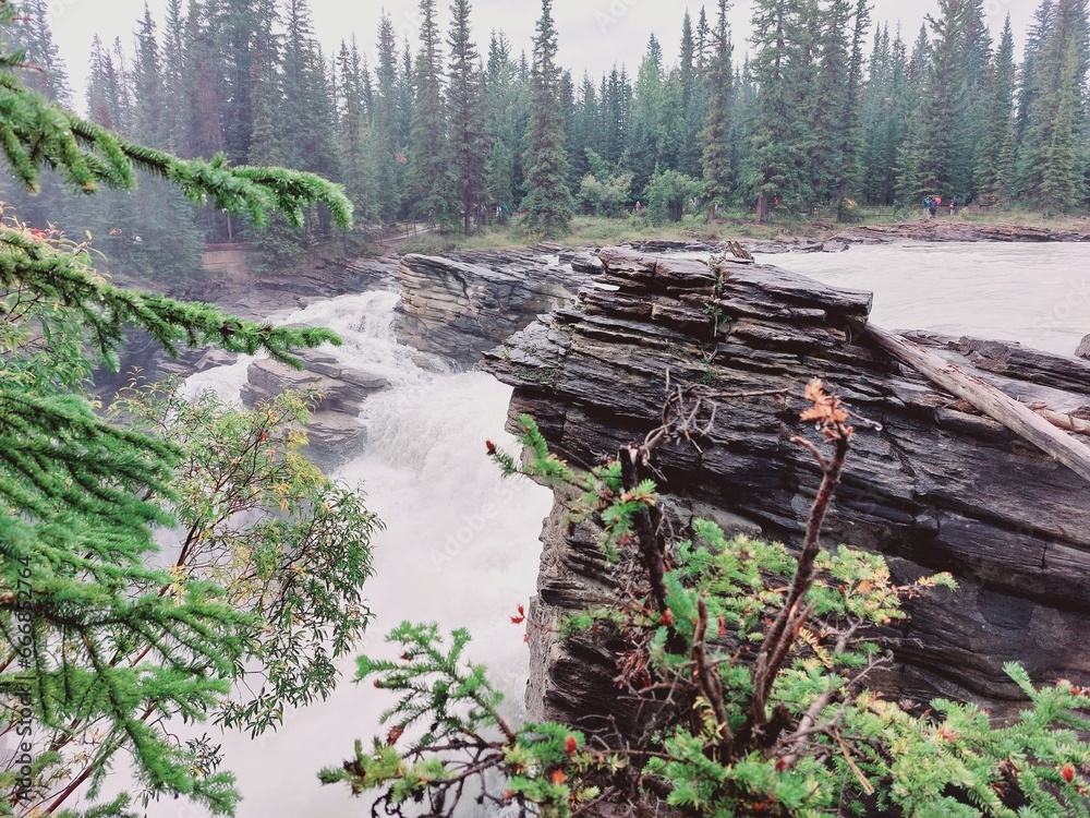 Fototapeta premium Rocky Mountains, Athabasca Falls, Sunwapta Falls