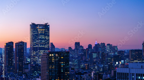 Tokyo Shinjyuku and Roppongi area panoramic view at magic hour time.