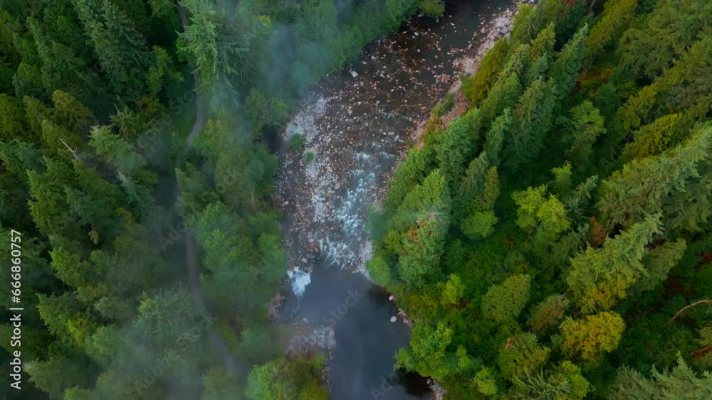 Top down view of beautiful mountain landscape. A river flows among tall trees Top down view of beautiful mountain landscape. A river flows among tall trees