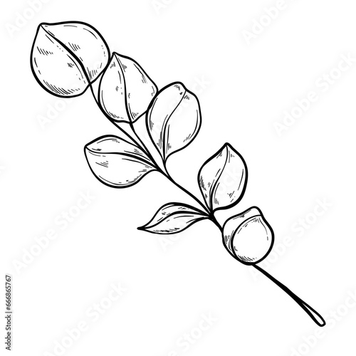 leaf complicated handdrawn illustration 