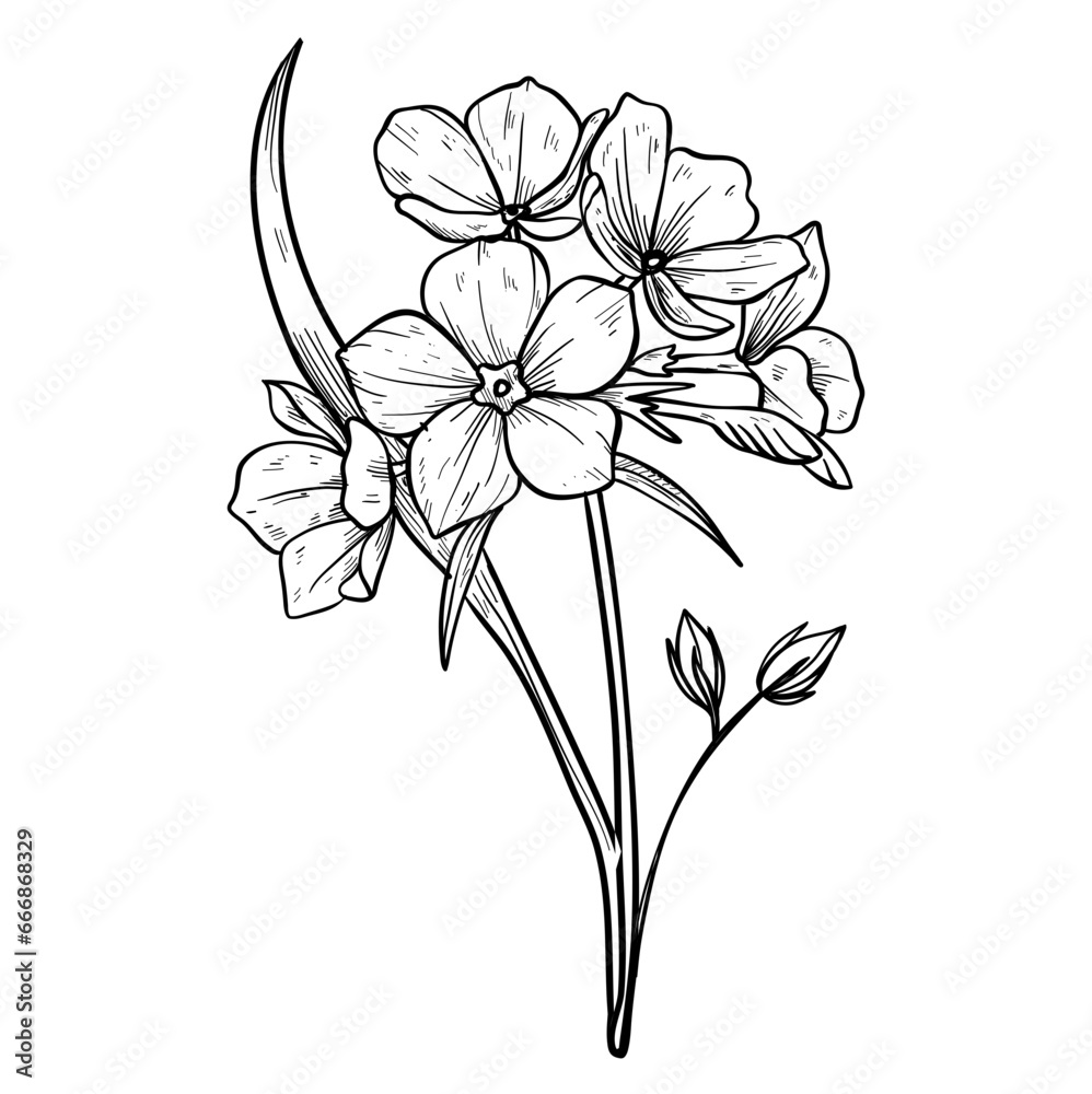 flower hand drawn flower hand drawn