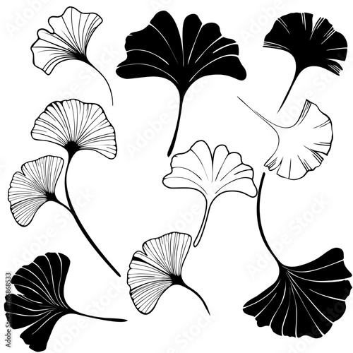 Ginko leaf  set logo design,editable and resizable EPS 10