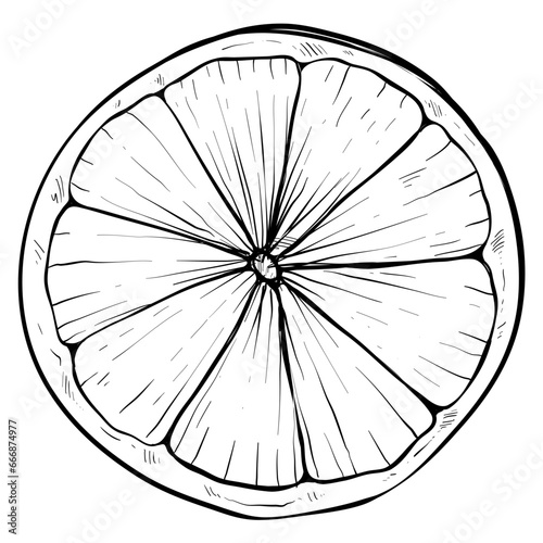lemon slice handdrawn textured 