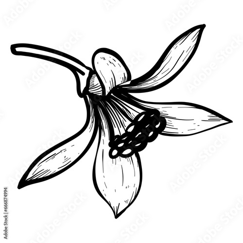 lemon flower  textured 