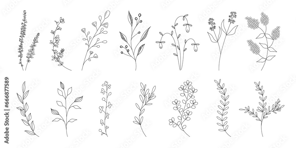 植物のシンプルイラストのセット、野の花、野の葉、ボタニカル、PNG. - obrazy, fototapety, plakaty 