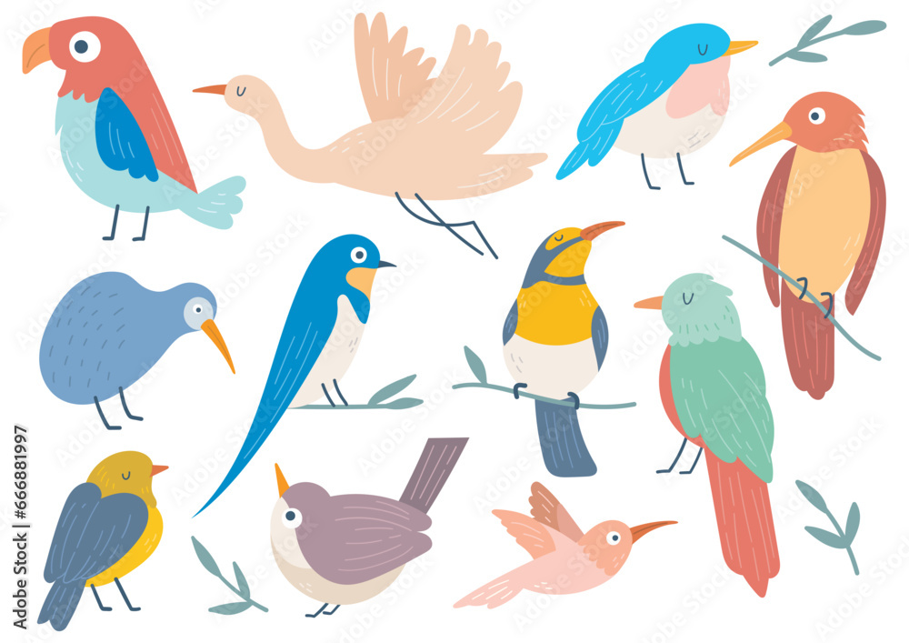 set of birds in flat style illustration