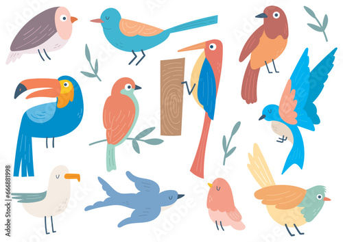 set of birds in flat style illustration
