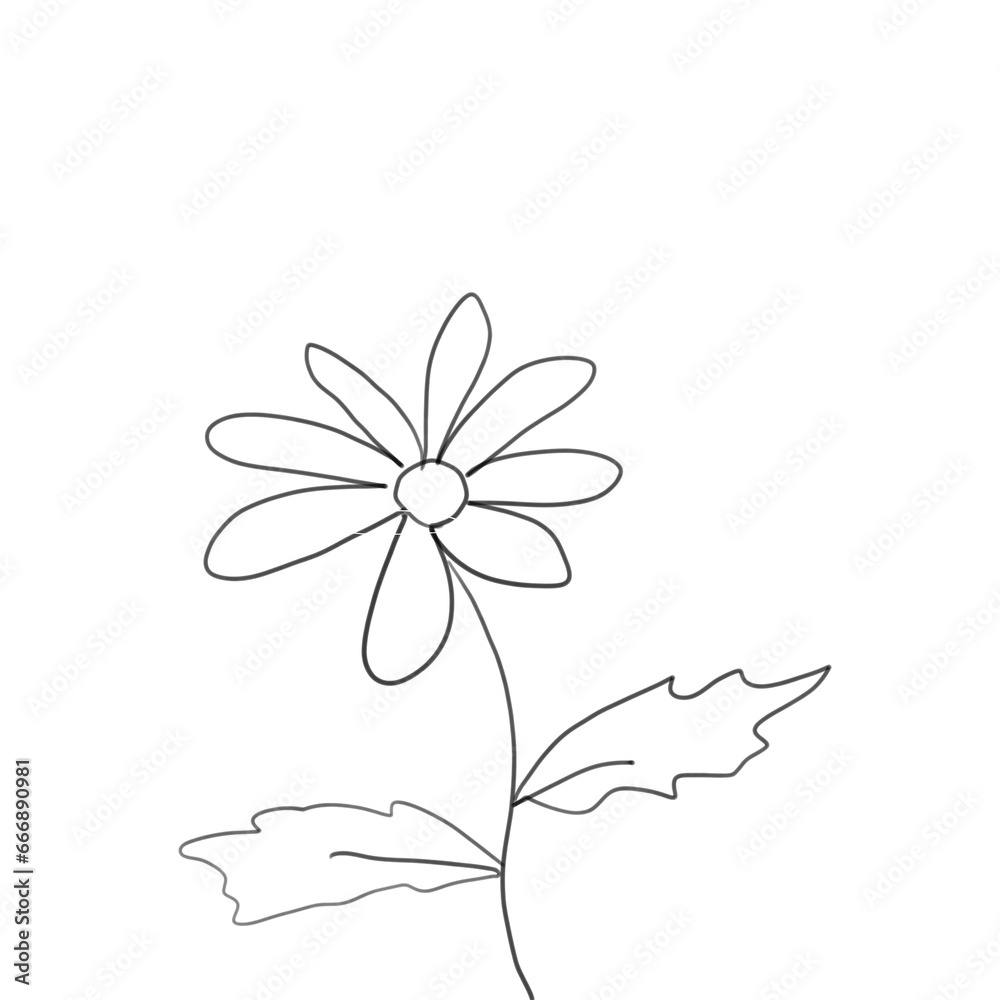 white flower isolated on black