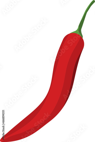 김장용 홍고추 벡터 일러스트