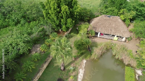 From above, admire the lush green trees that encircle a stunning natural pool in Etla, Oaxaca, Mexico. photo