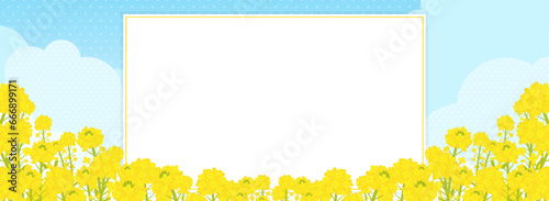満開の菜の花と青空のフレーム・背景素材（バナー向け横長）