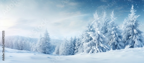 Snowy forest with coniferous branch photo