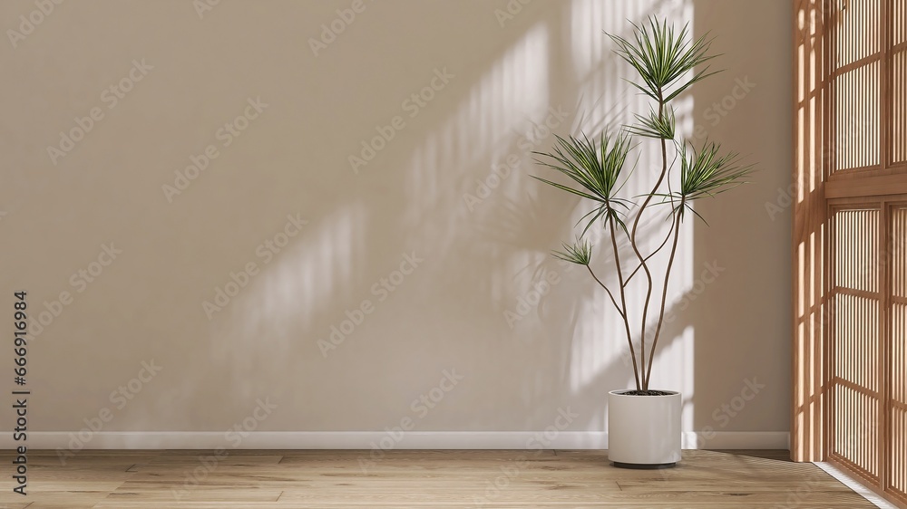 Dracaena green palm in white pot in sunlight from shoji window, shadow on blank beige wall, parquet floor. Luxury interior design decoration, fashion, beauty, product display background 3D Dracaena green palm in white pot in sunlight from shoji window, shadow on blank beige wall, parquet floor. Luxury interior design decoration, fashion, beauty, product display background 3D