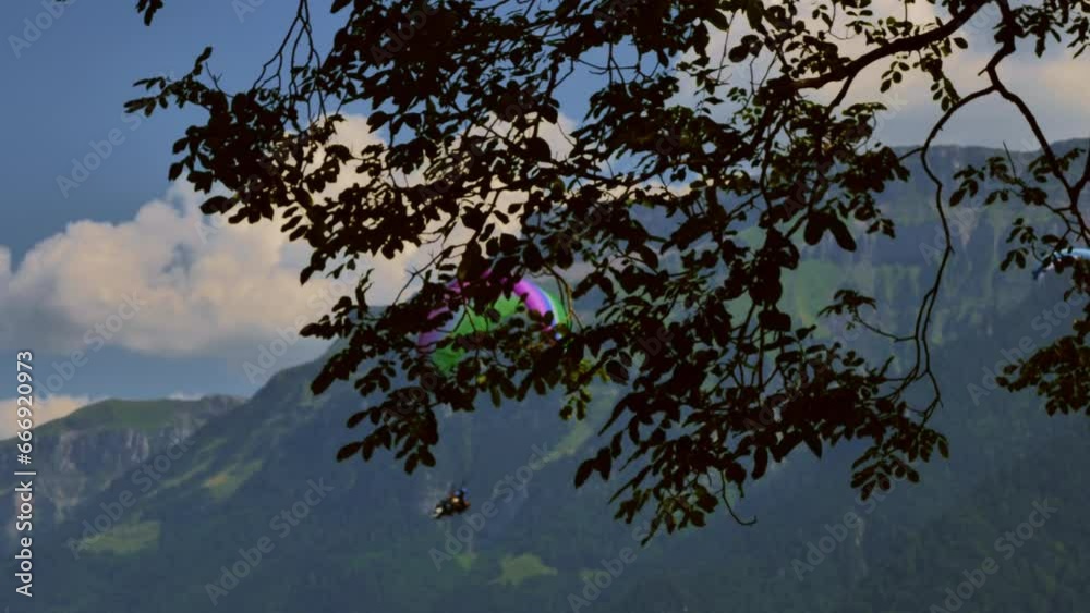 Paragliding with Beautiful Mountain Landscape and Tree Branch in Sunny Summer Day in Interlaken, Bernese Oberland, Bern Canton, Switzerland. Paragliding with Beautiful Mountain Landscape and Tree Branch in Sunny Summer Day in Interlaken, Bernese Oberland, Bern Canton, Switzerland.
