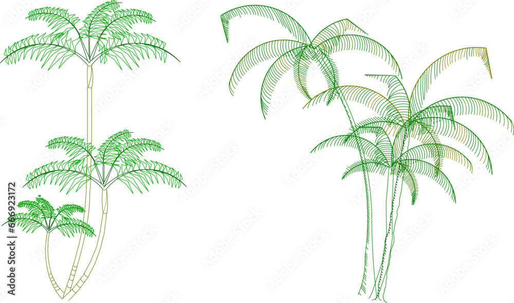 vector illustration sketch of palm tree architectural details to complete the scenic image