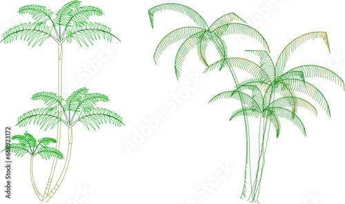 vector illustration sketch of palm tree architectural details to complete the scenic image