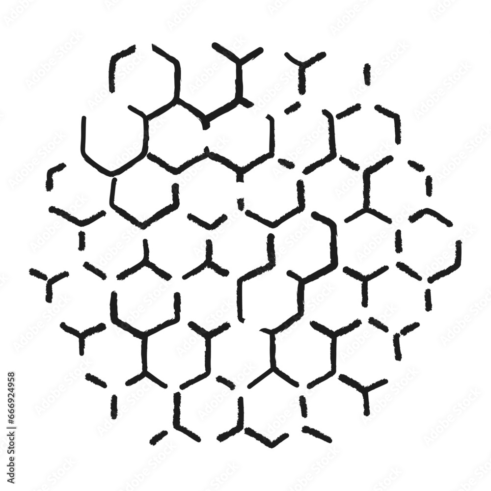 Propolis honey comb. Doodle hand drawn honeycomb structure. Honey, pollen, wax, parchment and bee products in sketch style. Stock black and white illustration isolated on a white background. - obrazy, fototapety, plakaty 