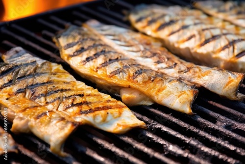 detail shot of grilled sea bass fins, highlighting texture