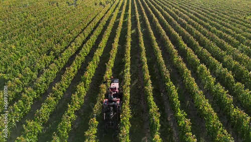 Tractor working vineyard on wine farm after harvest, Agriculture and organic farming concepts, Pomerol, Gironde, France, High quality 4k footage