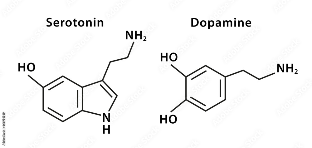 Chemical structure of serotonin and dopamine. Molecular structure. Isolated on white background. Vector illustration