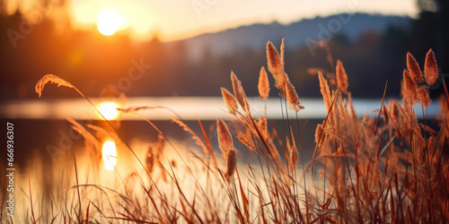paysage de campagne dans un champ au levé du soleil