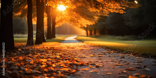 levé de soleil sur un paysage d'automne aux couleurs dorée et feuilles mortes