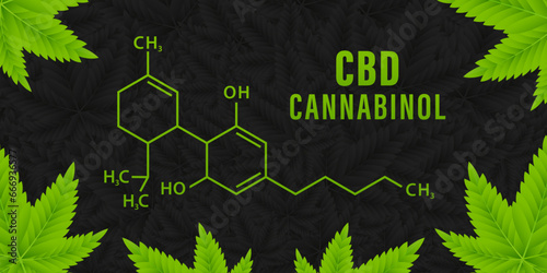 Green marijuana leaves and Chemical formula molecular structure cannabidiol (CBD) isolated on Cannabis black abstract background. Cannabis molecular structure medical concept. Vector illustration
