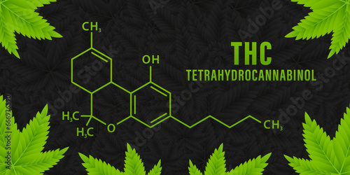 Green marijuana leaves and Chemical formula molecular structure Tetrahydrocannabinol (THC) isolated on Cannabis black abstract background. Cannabis molecular structure. Vector illustration