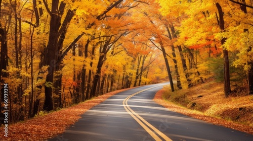 A picturesque road lined with vibrant autumn trees