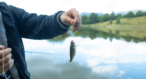 Man catching and showing small fish in the lake. photo