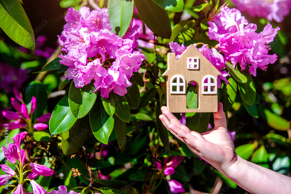 The girl holds the house symbol against the background of blossoming pink rhododendron
The girl holds the house symbol against the background of blossoming pink rhododendron