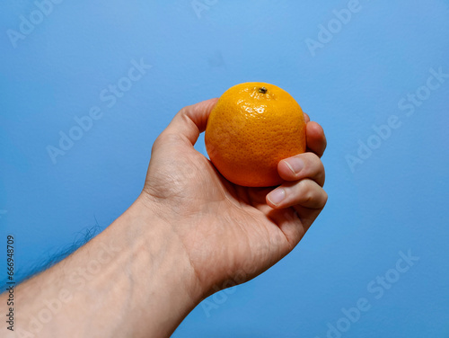 close up of a hand hloding mandarin fruit photo