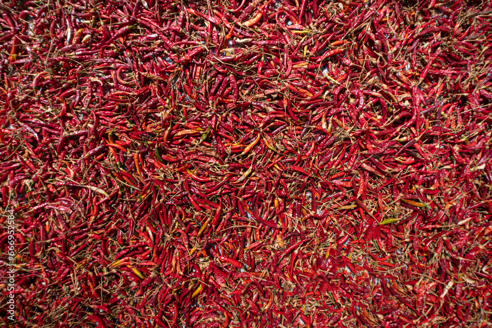 Red chili peppers are hanged on the wall. We dry the long red pepper by hanging it in the shade. Long red peppers drying on the walls. 
Cukuroren Village, Bilecik Türkiye.