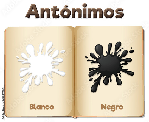 Antonym Word Card: Blanco and Negro in Spanish means white and black