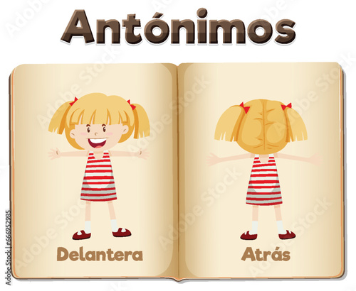 Antonym Word Card: Delantera and Atras means front and back