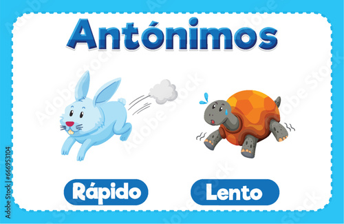 Rapido and Lento: Antonym Word Card in Spanish means fast and slow