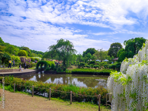 Artificial pond surrounded by greenery in a flower park (Ashikaga, Tochigi, Japan)