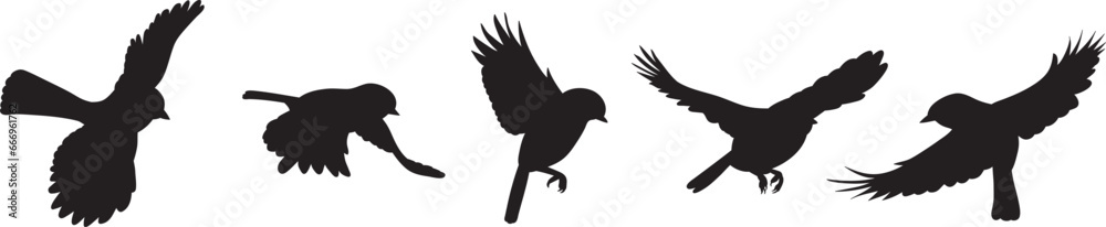 silhouette of flying birds on a white background isolated vector silhouette of flying birds on a white background isolated vector
