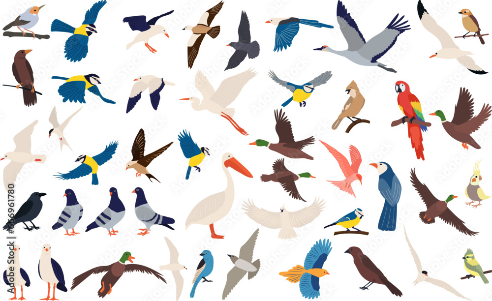 set of birds of different breeds, flying birds, collection isolated vector