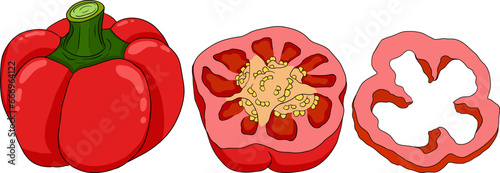 Hand drawn colored illustration of different types of pepper. Bell sweet peppers, paprika. Vegetables painted on white background. Vector sketch food.