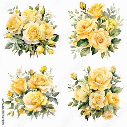 Yellow roses collection on white background. 